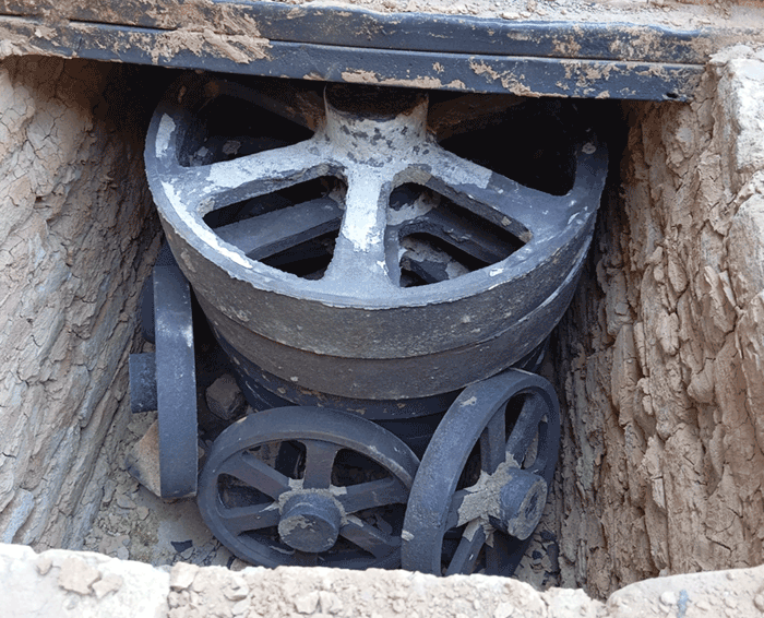 ذوب محمدی
